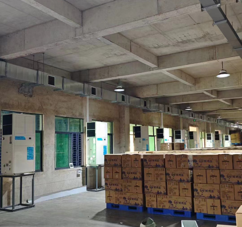 海墾集團蛋品雞蛋倉庫降溫使用星科蒸發(fā)冷省電空調(diào)SYL-ZL-25軸流立式柜機